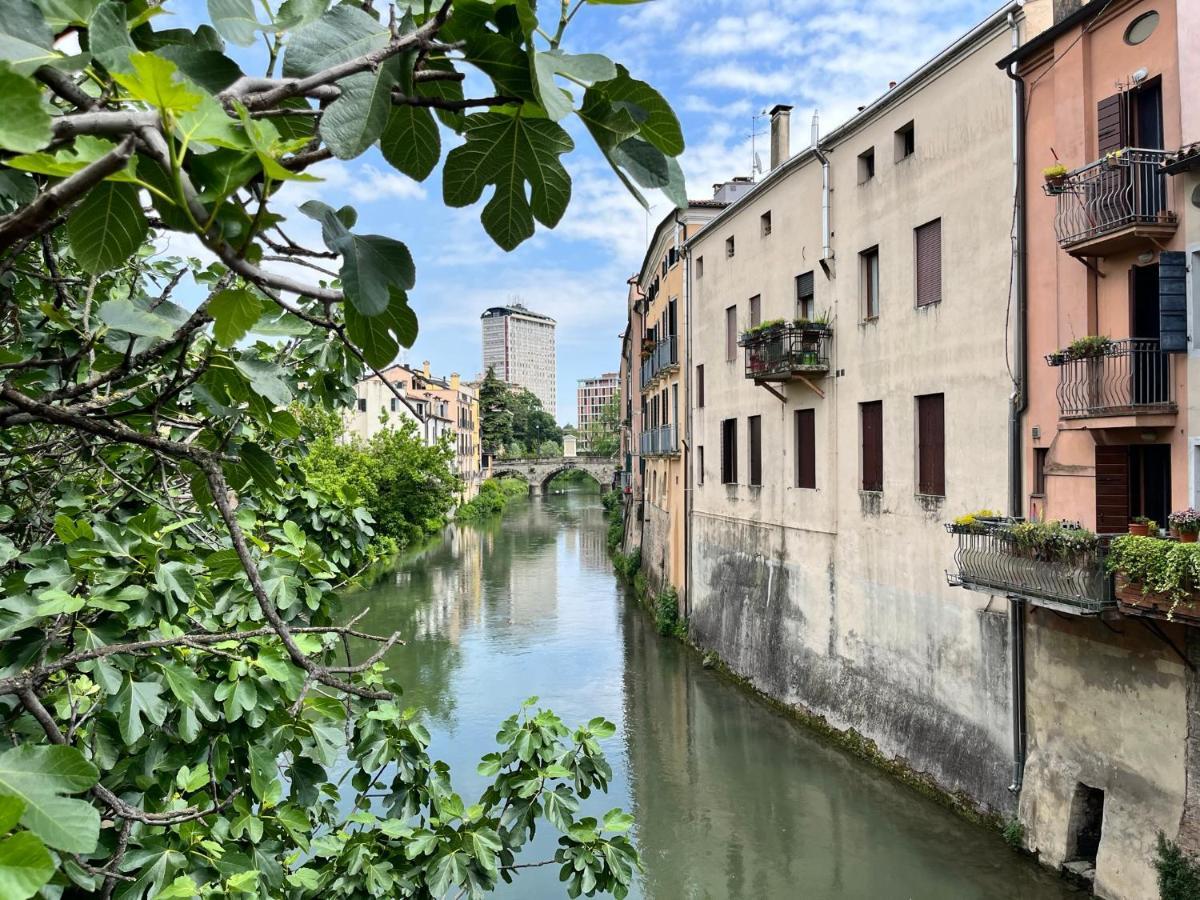 Appartamento Ai Portici Di Via Savonarola Padova Exteriér fotografie
